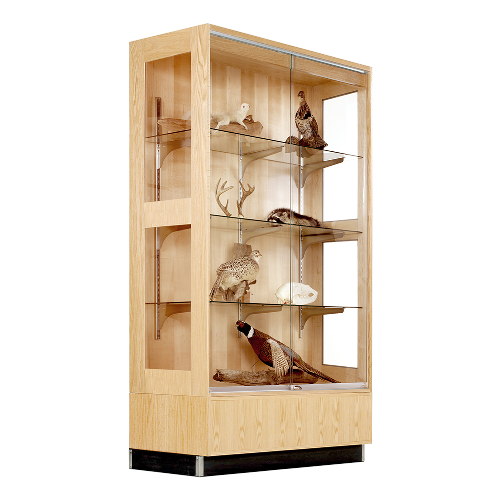 Access Display Case