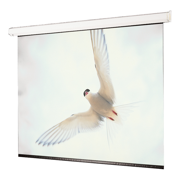 Targa Electric Wall Projection Screen