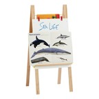 Teacher Easel