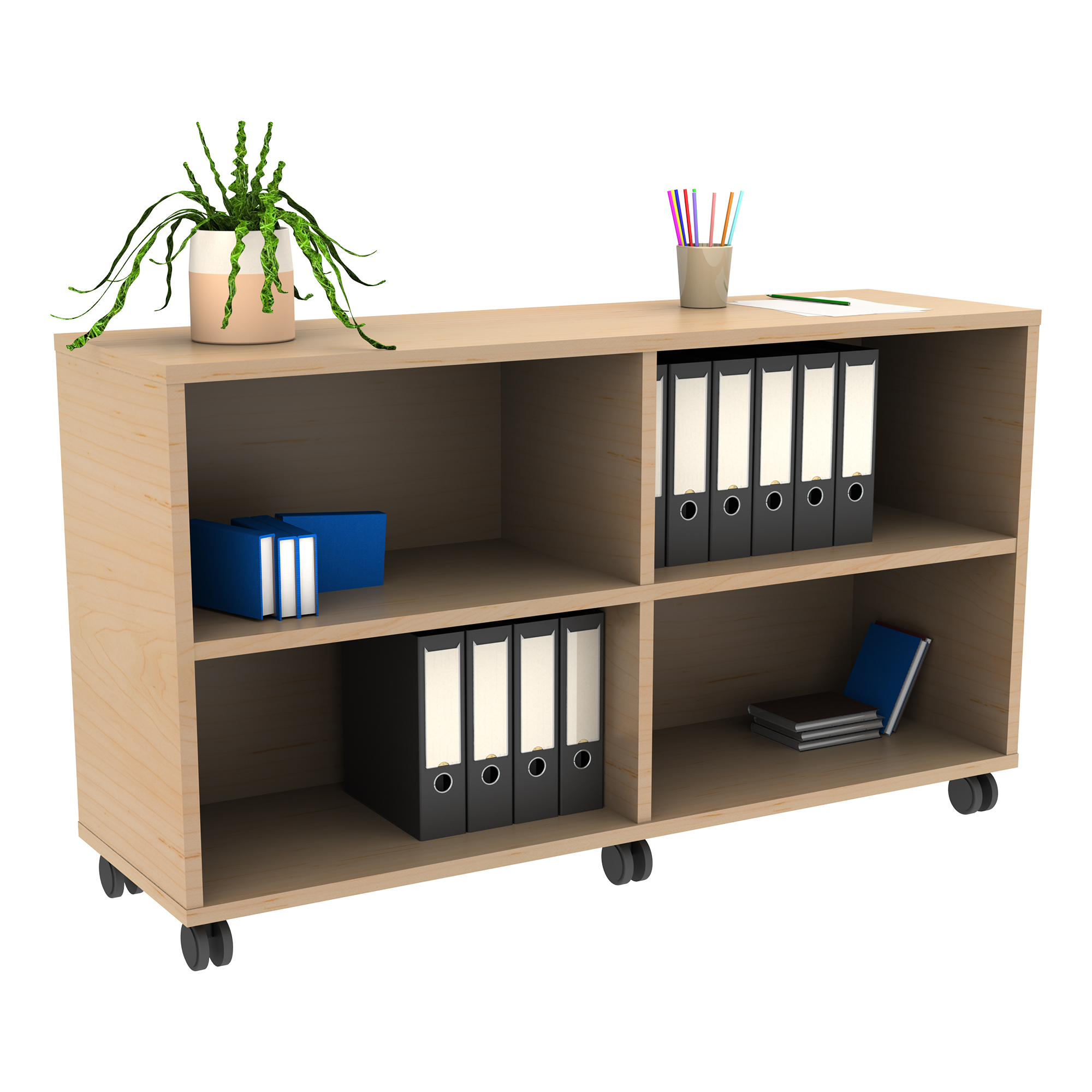 Classroom Bookshelves
