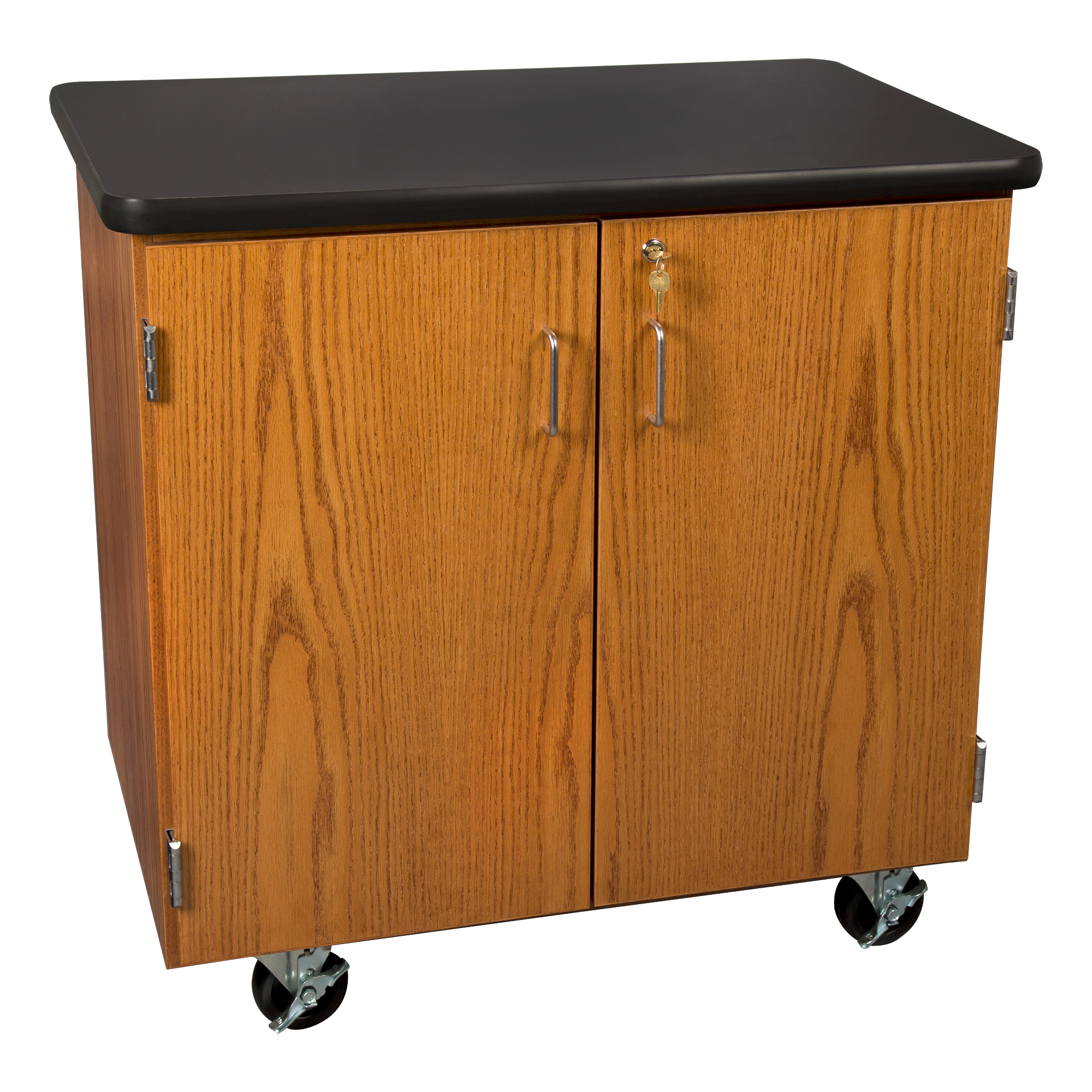 Mobile Lab Storage