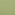 fern green smooth grain 
