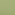 fern green 
