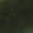 Hunter Greenundefined