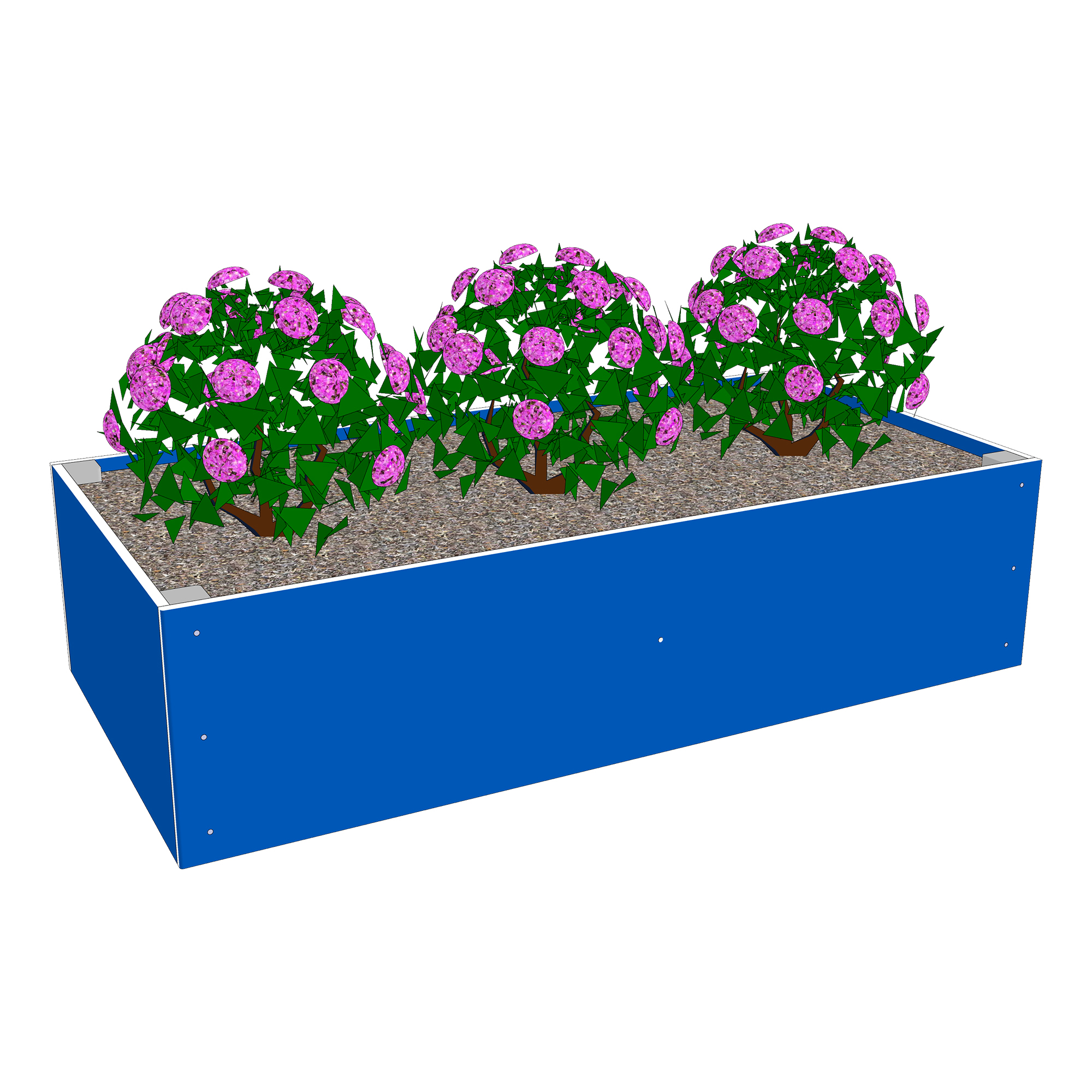 Raised Garden Bed