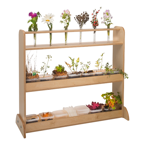 Nature Stand
