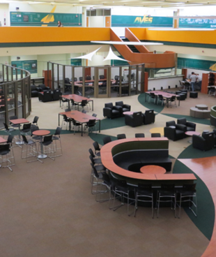 Sycamore High School