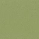 Fern Green Smooth Grain